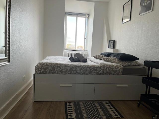 Cosy Rent Strasbourg Orangerie Tv Wifi Cathedraleアパートメント エクステリア 写真