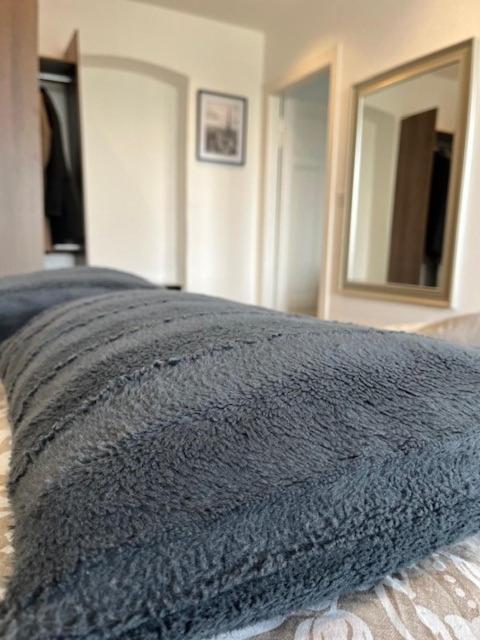 Cosy Rent Strasbourg Orangerie Tv Wifi Cathedraleアパートメント エクステリア 写真