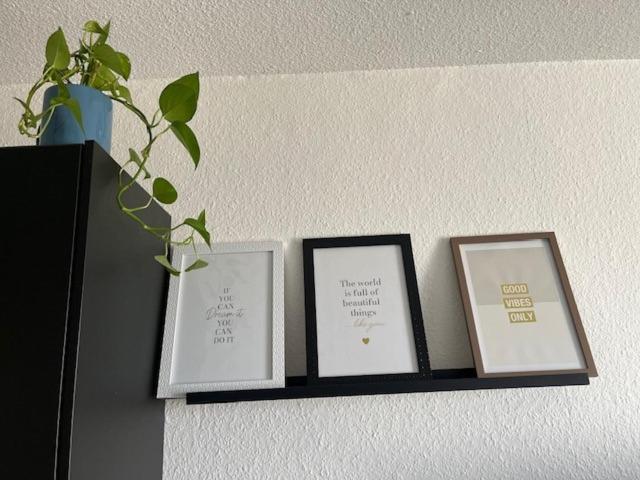 Cosy Rent Strasbourg Orangerie Tv Wifi Cathedraleアパートメント エクステリア 写真